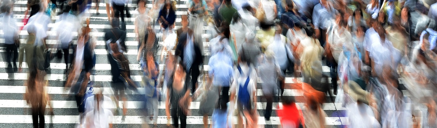 Research impact at the University of Reading