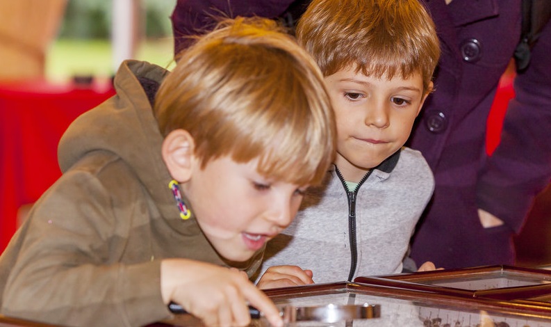 Children engaging with University of Reading research on bees and pollination at Kew Gardens