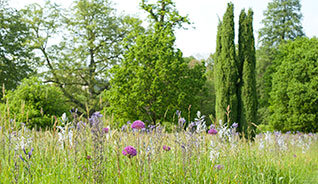 Harris Gardens at University of Reading 
